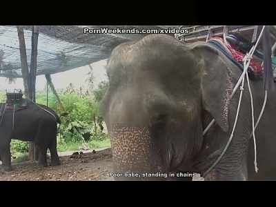 ������� ������� ������� 