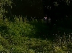 �������������� ����� � ������� �������� ������ � ������� 