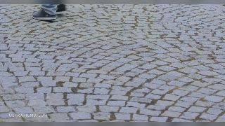 ������ ������� ���� ���� �� ���������� ���� 