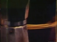 ������� ���������� �� ������ 