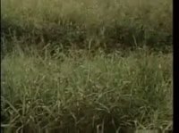 �������� ������� ������ ������ � ���� 