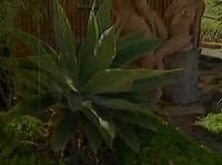 ������ ������ ������� ����� 