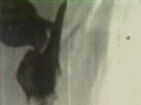 ����� ������ ����������� 