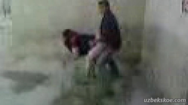 ��������� ����������� �� ������ ����� ��������